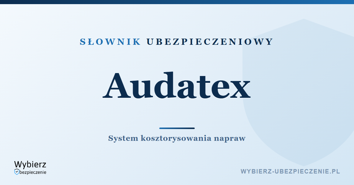 Audatex – system kosztorysowania napraw pojazdów, słownik ubezpieczeniowy
