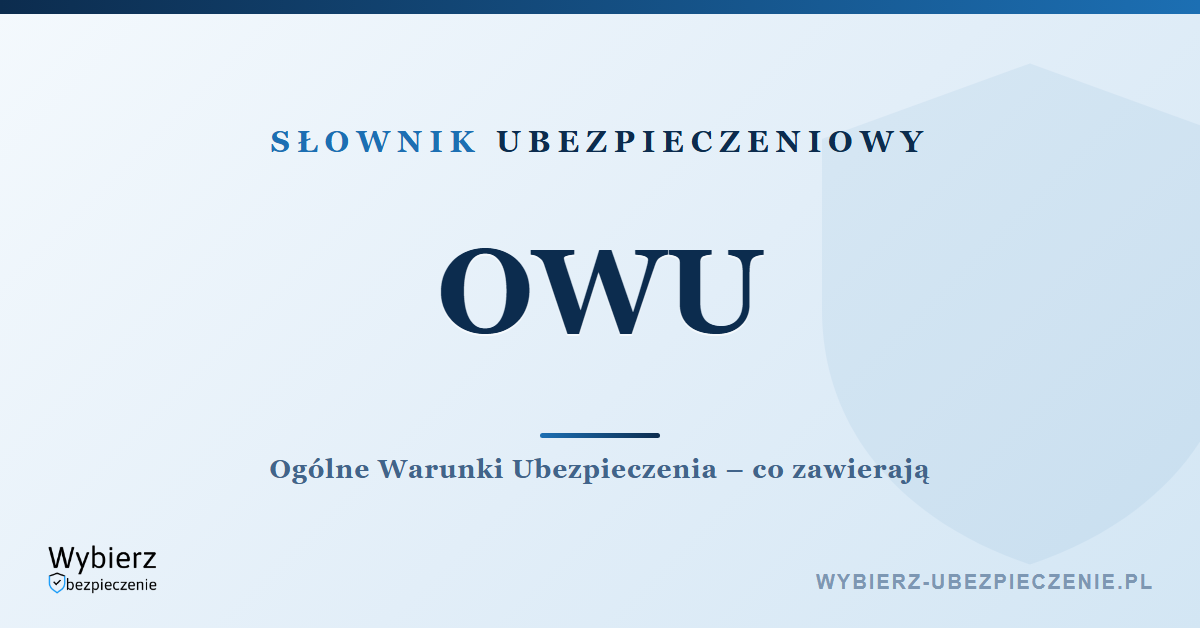 OWU – co to jest i co zawiera, słownik pojęć ubezpieczeniowych