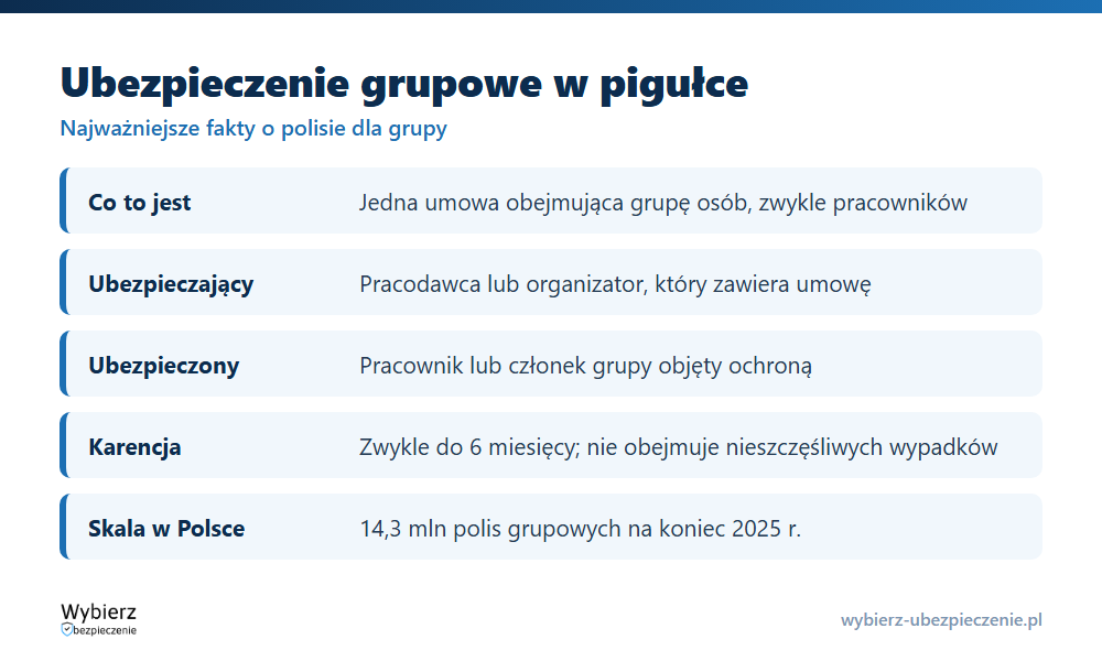 Kluczowe fakty o ubezpieczeniu grupowym: definicja, role, składka, karencja i skala rynku w Polsce